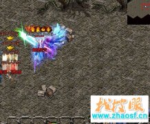 ��������ְҵ����